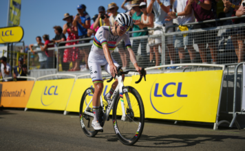 Pogacar powers to big Pyrenees win to reclaim Tour de France yellow jersey