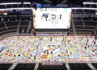 Hoffmann family in mix to buy Penguins from Fenway Sports Group