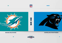 NFL Highlights: Panthers 27, Dolphins 24