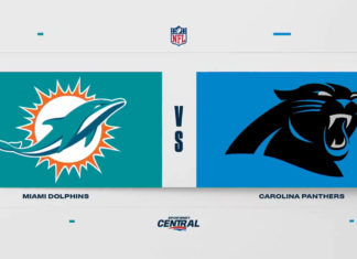 NFL Highlights: Panthers 27, Dolphins 24
