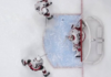 Batherson’s failed clearing attempt leads to own goal for Senators
