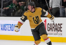 What is the wildest storyline we could see in NHL playoffs?