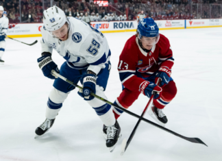 Two sentences about every Stanley Cup Playoff team