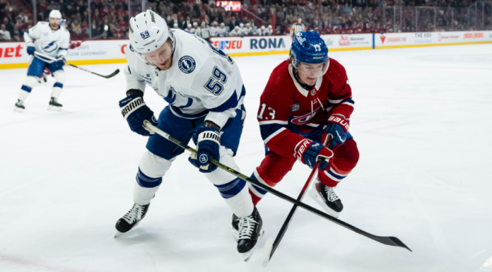 Two sentences about every Stanley Cup Playoff team