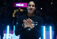 ‘History!’: Basketball fans react to first Toronto Tempo game